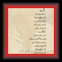 Saleem-u-Rehmain 01 * 22.03.2008 * 449 x 658 * (37KB)